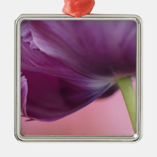 Close-up van de onderkant van tulp bloem, Kuekenho Metalen Ornament
