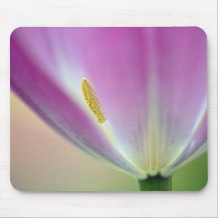 Close-up van de onderkant van tulp bloem, Kuekenho Muismat