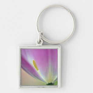 Close-up van de onderkant van tulp bloem, Kuekenho Sleutelhanger