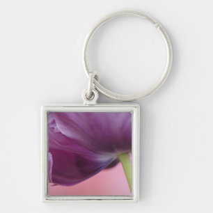 Close-up van de onderkant van tulp bloem, Kuekenho Sleutelhanger