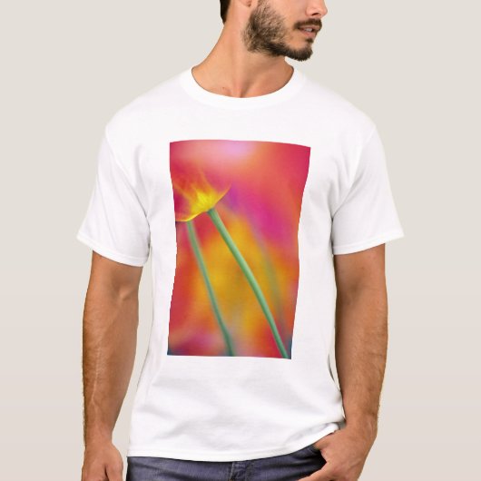 Close-up van de onderkant van tulp bloem, t-shirt (Voorkant)