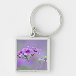 Close-up van Drummond Phlox, Phlox drummondi, Sleutelhanger