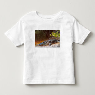 Close-up van een Amerikaanse alligator bij de J.N. Kinder Shirts