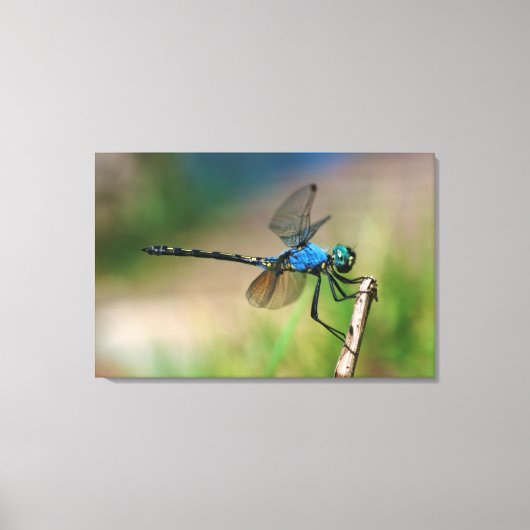 Close-up van een blauwe libel op een tak canvas afdruk (Voorkant)
