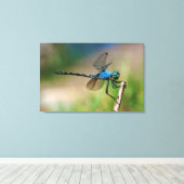 Close-up van een blauwe libel op een tak canvas afdruk (Insitu (Houten vloer))