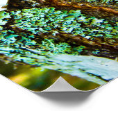 Close-up van een boom Poster (Hoek)
