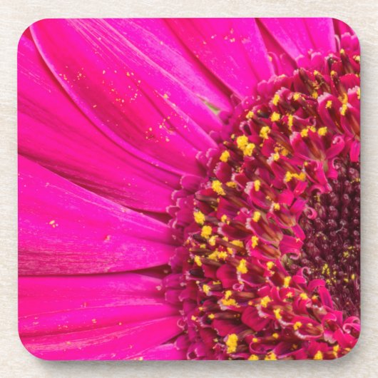 Close-up van een Gerber-margriet Bier Onderzetter (Voorkant)
