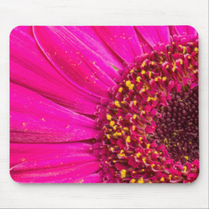 Close-up van een Gerber-margriet Muismat