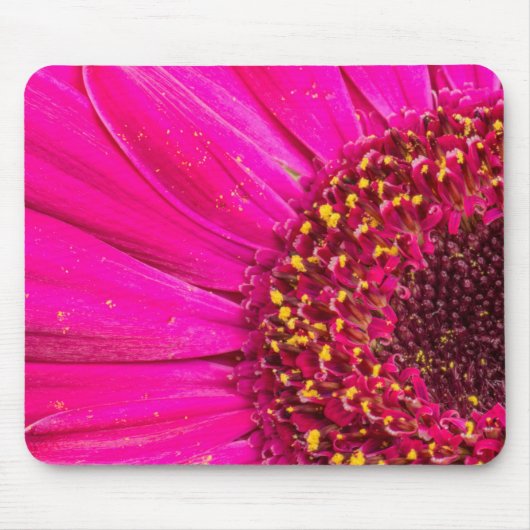 Close-up van een Gerber-margriet Muismat (Voorkant)