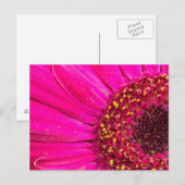 Close-up van een Gerbera-margriet Briefkaart (Voorkant / Achterkant)