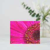 Close-up van een Gerbera-margriet Briefkaart (Staand voorkant)