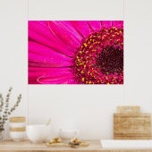 Close-up van een Gerbera-margriet Poster (Keuken)