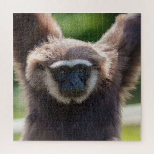 Close-up van een hangende Gibbon Legpuzzel