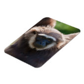 Close-up van een hangende Gibbon Magneet (Linkerzijde)