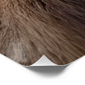 close-up van een hert perfect poster (Hoek)