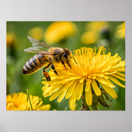 Close-up van een honingbij die nectar verzamelt poster