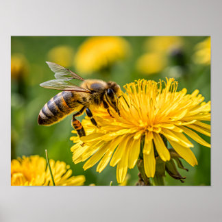 Close-up van een honingbij die nectar verzamelt poster