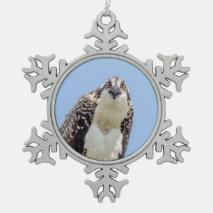 Close-up van een jonge visarend tin sneeuwvlok ornament
