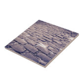 Close-up van een kasseienstraat tegeltje (Zijkant)