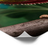 Close-up van een kleurrijke kameleon hagedis poster (Hoek)