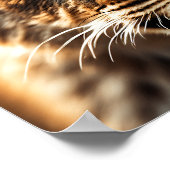 Close-up van een leeuwenwelp poster (Hoek)