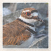 Close-up van een mooie moordenaar glazen onderzetter (Voorkant)