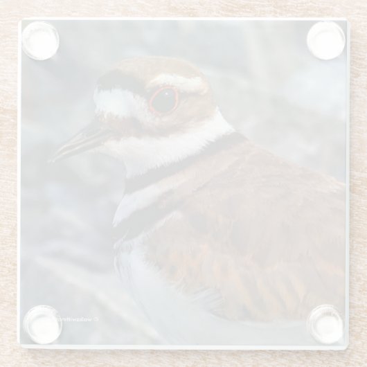 Close-up van een mooie moordenaar glazen onderzetter (Achterkant)