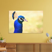 Close-up van een pauw 3 canvas afdruk (Insitu (Woonkamer))