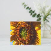 Close-up van een zonnebloem briefkaart (Staand voorkant)
