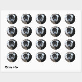 Close-up van een zwart-wit Ruffed Lemur Ronde Sticker (Vel)