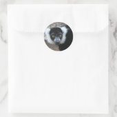 Close-up van een zwart-wit Ruffed Lemur Ronde Sticker (Tas)
