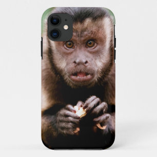 Close-up van een zwartkapkapucijnaap Case-Mate iPhone case