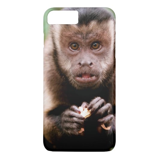 Close-up van een zwartkapkapucijnaap Case-Mate iPhone case (Achterkant)