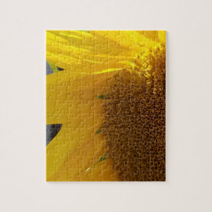 Close-up van gele zonnebloem legpuzzel