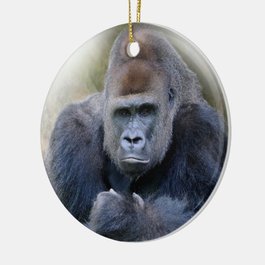 Close-up van gorilla liggend op gras keramisch ornament (Links)