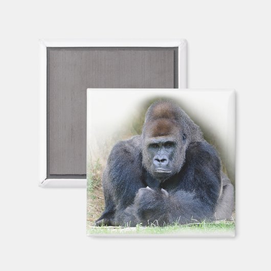 Close-up van gorilla liggend op gras magneet (Voorkant / Achterkant)