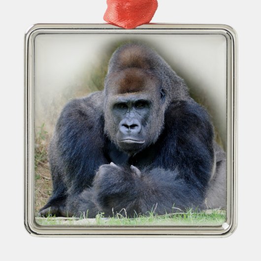 Close-up van gorilla liggend op gras metalen ornament (Voorkant)