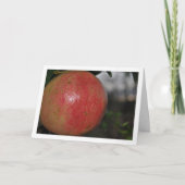 Close-up van granaatappel aan boom kaart (Voorkant)