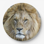 Close-up van het hoofd van de leeuw papieren bordje (Voorkant)