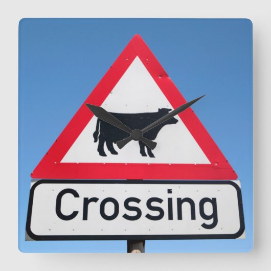 Close-up van het veerovergangsbord. Westkaap Vierkante Klok (Voorkant)