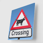 Close-up van het veerovergangsbord. Westkaap Vierkante Klok (Hoek)