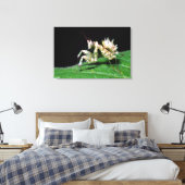 Close-up van Hottentot bidsprinkhaan Canvas Afdruk (Insitu (Slaapkamer))