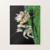 Close-up van Hottentot bidsprinkhaan Legpuzzel (Verticaal)