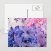 Close-up van Hyacint plant Briefkaart (Voorkant / Achterkant)