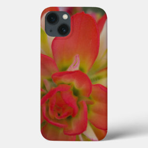 Close-up van Indian Paint Brush bij Gay Hill, Case-Mate iPhone Case