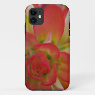 Close-up van Indian Paint Brush bij Gay Hill, Case-Mate iPhone Case