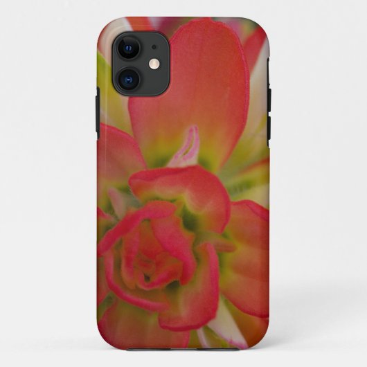 Close-up van Indian Paint Brush bij Gay Hill, Case-Mate iPhone Case (Achterkant)