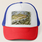 Close-up van Indiase python Trucker Pet (Voorkant)