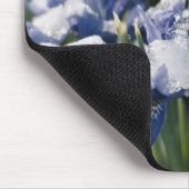 Close-up van Iris Muismat (Hoek)