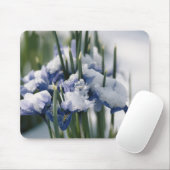 Close-up van Iris Muismat (Met muis)